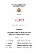 Vignette d'image