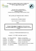 Vignette d'image