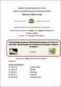 Vignette d'image