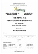Vignette d'image