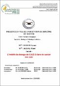 Vignette d'image