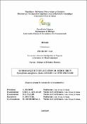 Vignette d'image