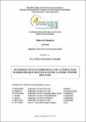 Vignette d'image
