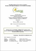 Vignette d'image