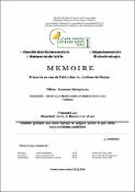 Vignette d'image